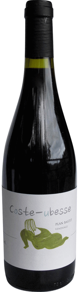 2015 Cuvée Plan Bastit Saint Guilhem le Désert IGP