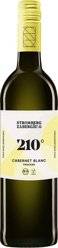 2024 210° Erkundung Cabernet Blanc BIO