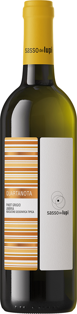 2024 Quartanota Pinot Grigio Umbria IGP