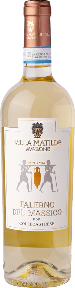 2019 Vigna Caracci Falerno del Massico Bianco DOC