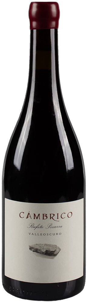 2017 Cámbrico Rufete Valleoscuro Sierra de Salamanca DOP BIO