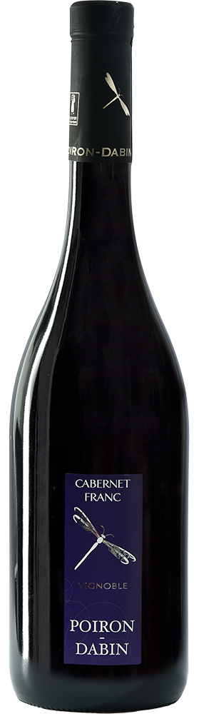 2023 Cabernet Franc