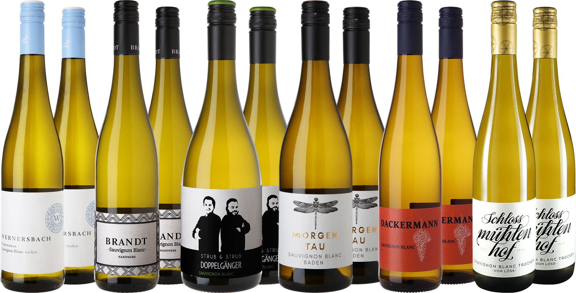 Großes Sauvignon Blanc Entdecker-Paket