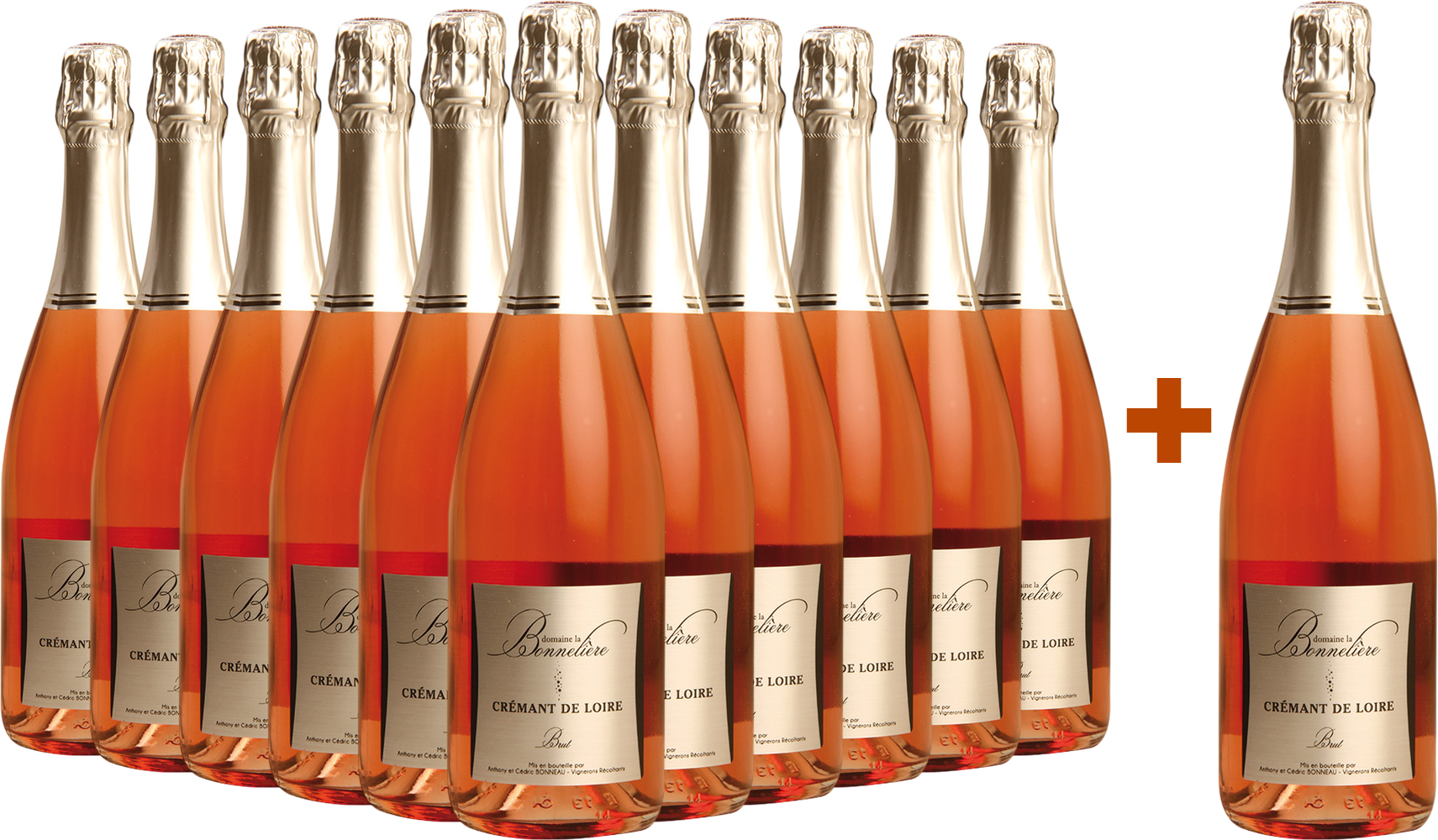 11+1 Paket Cuvée Rosé Cremant de Loire AOP