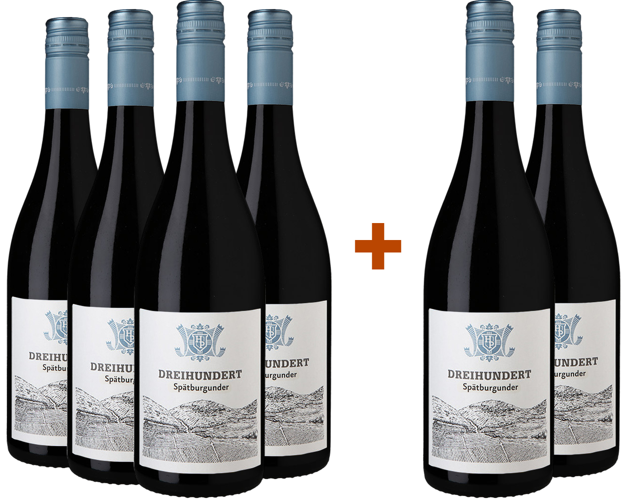 4+2 Paket Dreihundert Spätburgunder