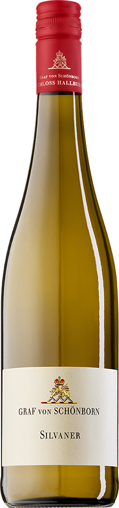 2025 Schloss Hallburg Silvaner