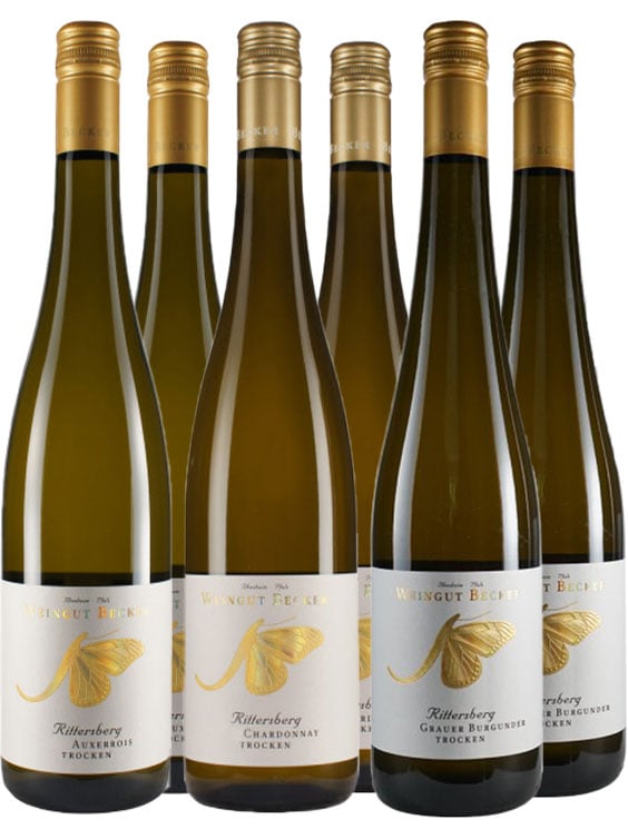 Ilbesheimer Rittersberg Paket BIO BIO
