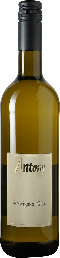 2024 Souvignier Gris