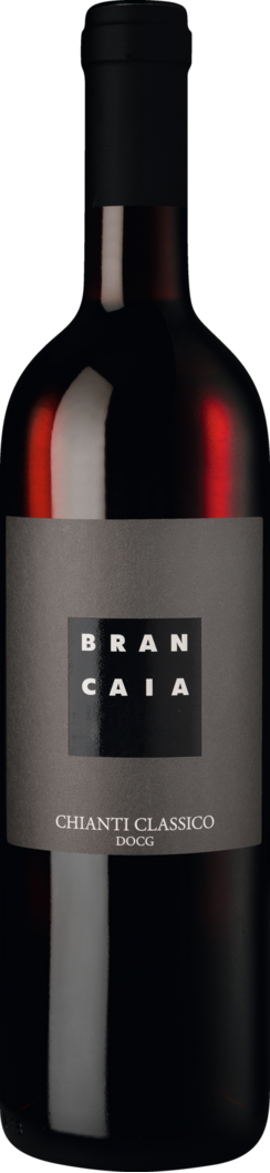 2024 Brancaia Chianti Classico BIO