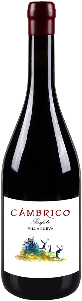 2021 Cámbrico Villanueva Sierra de Salamanca DOP