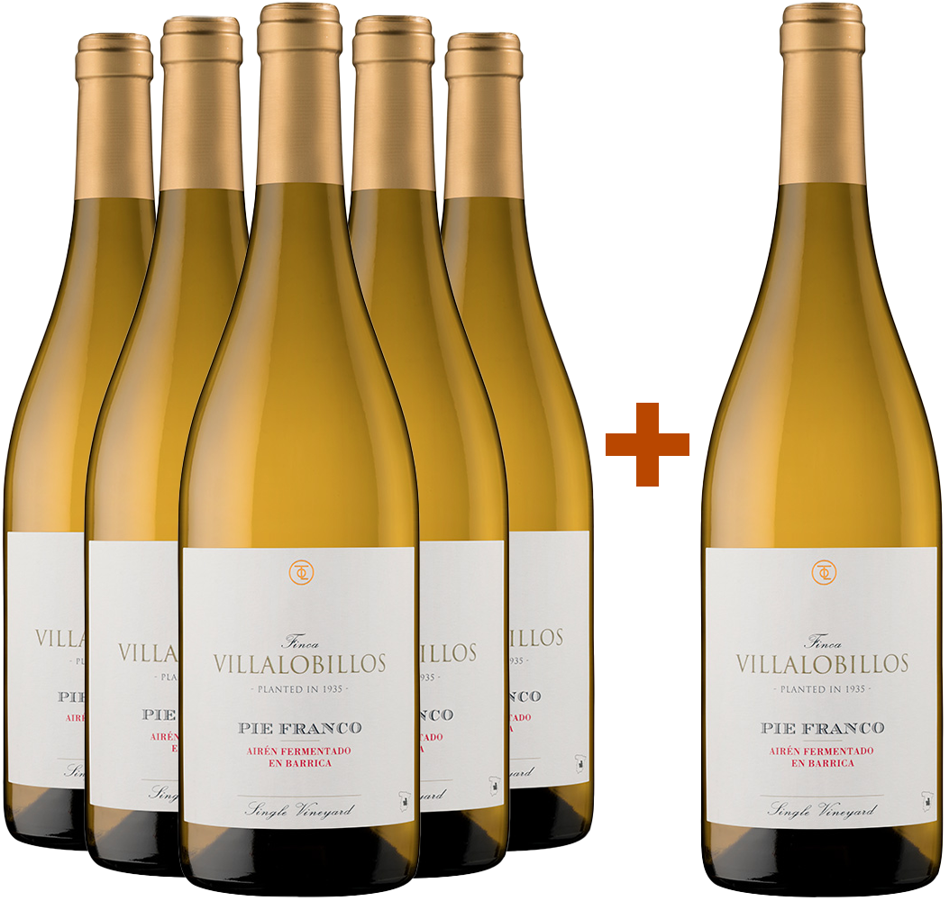 Aktionspaket 5+1 Finca Villalobillos Airén Pie Franco Barrica Castilla VT