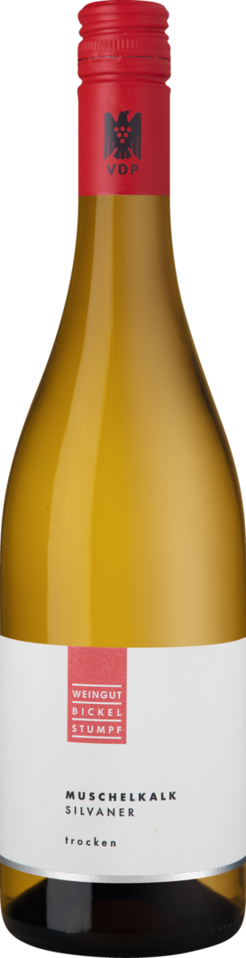 2024 Muschelkalk Silvaner