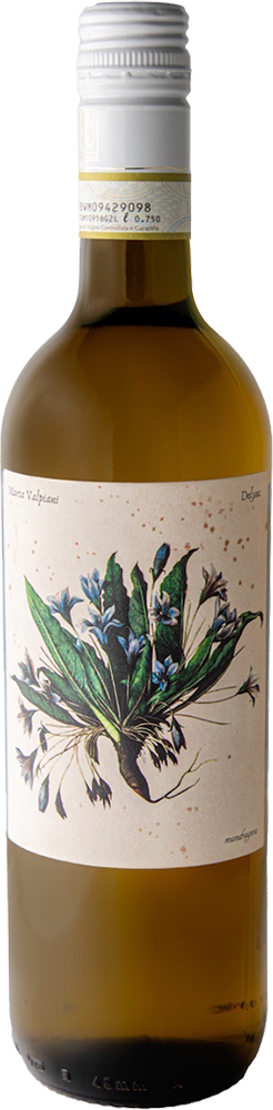 2024 Delyus - Romagna Albana Secco DOCG BIO