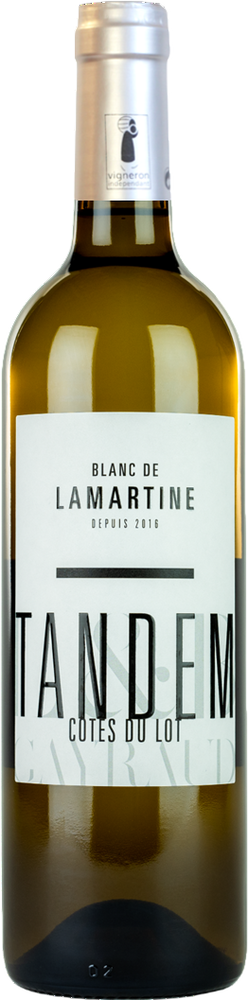 2025 Cuvée "Tandem Blanc" IGP Côtes du Lot