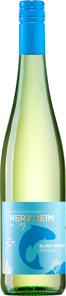 2024 Blanc de Blanc Weißweincuvée