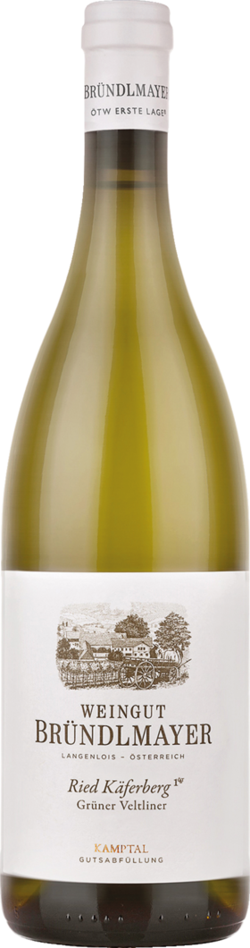 2020 Bründlmayer Käferberg Ried Grüner Veltliner BIO