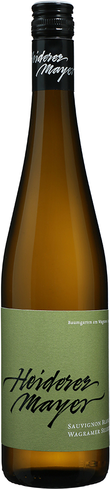 2025 Sauvignon Blanc Wagram DAC