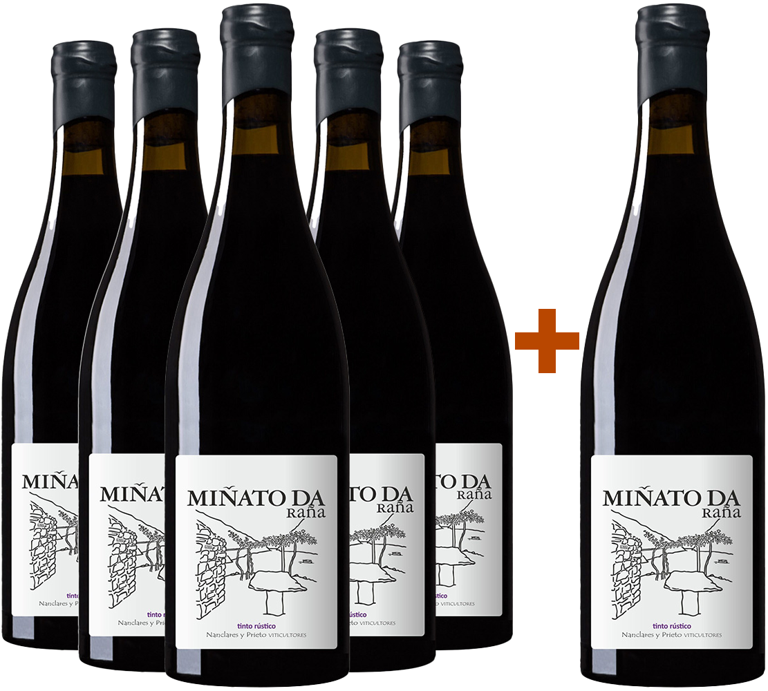 Pack Descuento 5+1 Nanclares Miñato da Raña