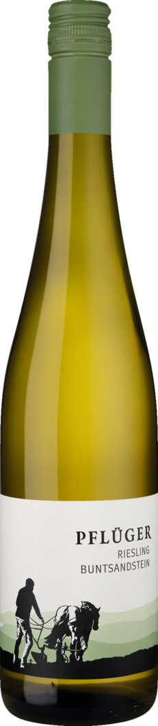 2025 Pflüger Riesling vom Buntsandstein BIO