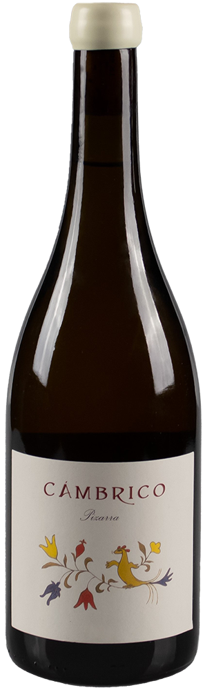 2020 Cámbrico Rufete Blanco Pizarra Sierra de Salamanca DOP