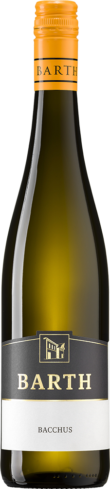 2025 Bacchus