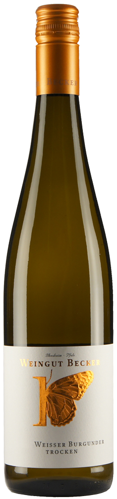 2024 Weißer Burgunder Kabinett BIO