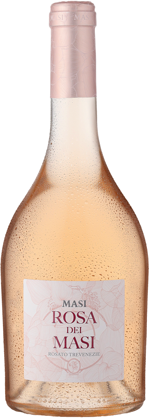  Rosa dei Masi Trevenezie IGP