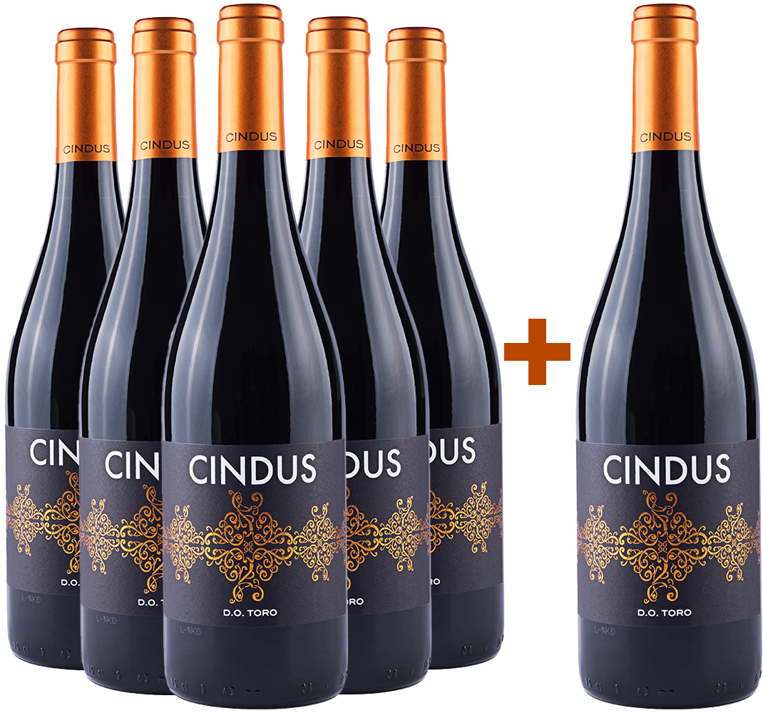 5+1 Aktionspaket Cindus Toro DO