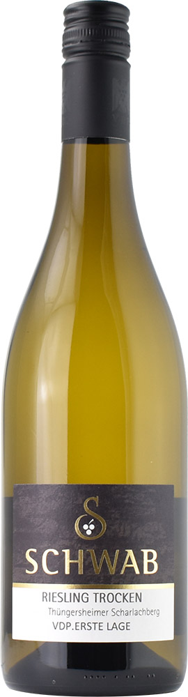 2024 Riesling ERSTE LAGE