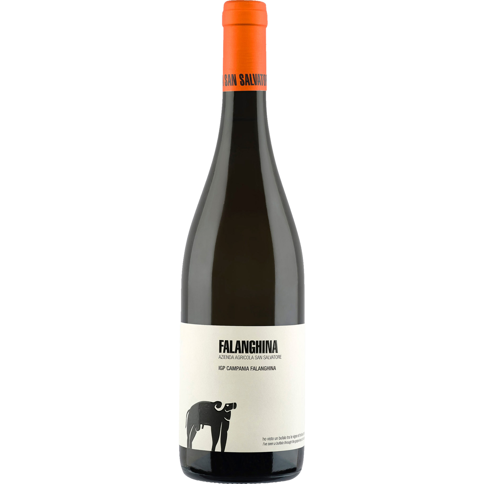 2024 San Salvatore Falanghina Bianco