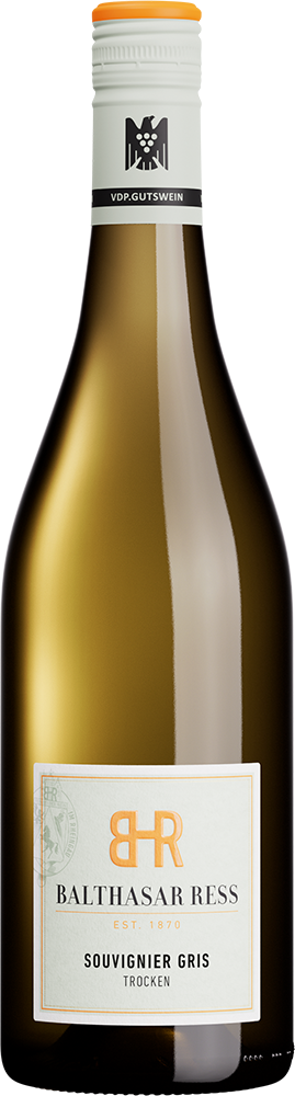 2025 Souvignier Gris BIO
