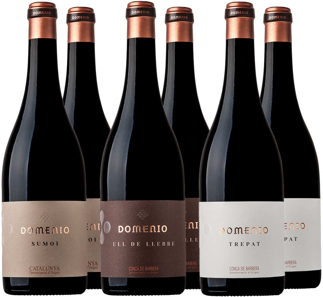 Kennenlernpaket Cellers Domenys
