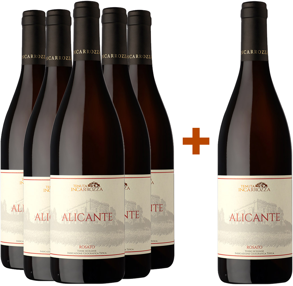 5+1 Paket Alicante Rosato Terre Siciliane IGP