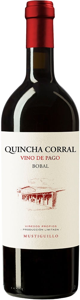 2019 Quincha Corral El Terrerazo VP BIO