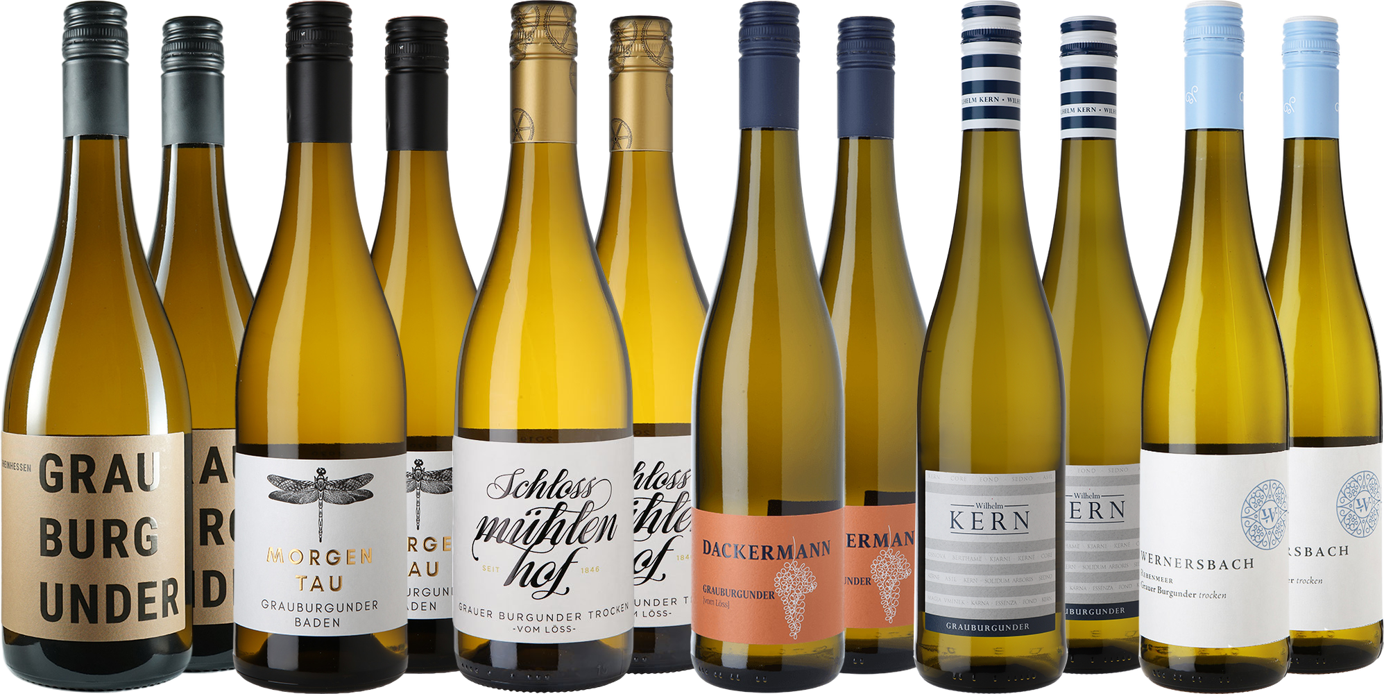 Großes Grauburgunder Entdecker-Paket