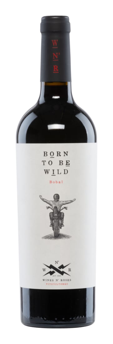 2023 Born To Be Wild Tinto Valencia DO