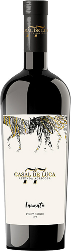 2023 Incanto Pinot Grigio Lazio IGP BIO