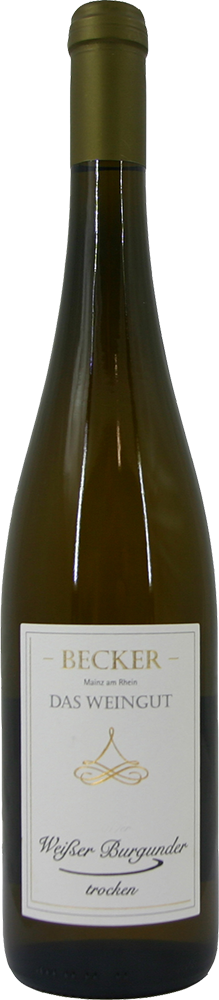 2024 Weisser Burgunder
