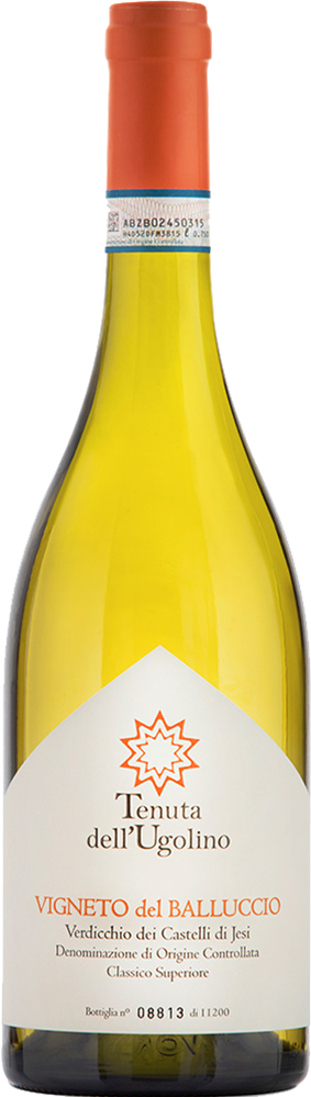 2024 Vigneto del Balluccio Verdicchio dei Castelli di Jesi Classico Superiore DOC BIO