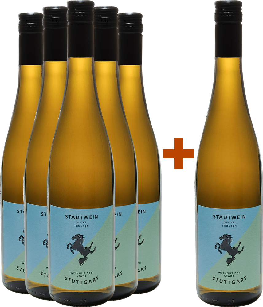 5+1 Paket Stadtwein Weiß BIO