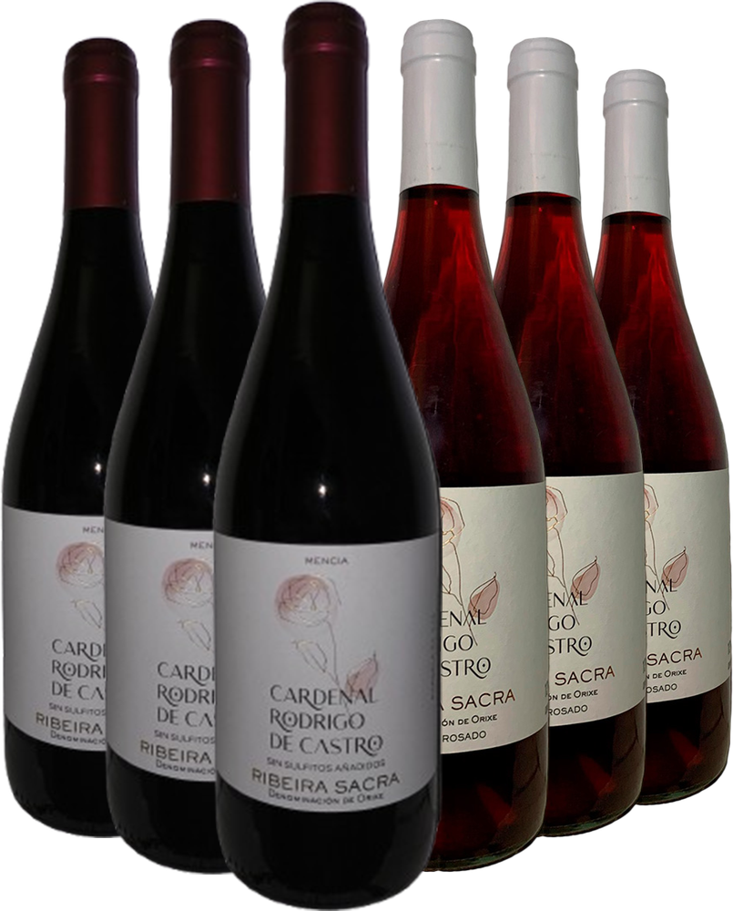 Cardenal Rodrigo de Castro Ribeira Sacra DO-Paket