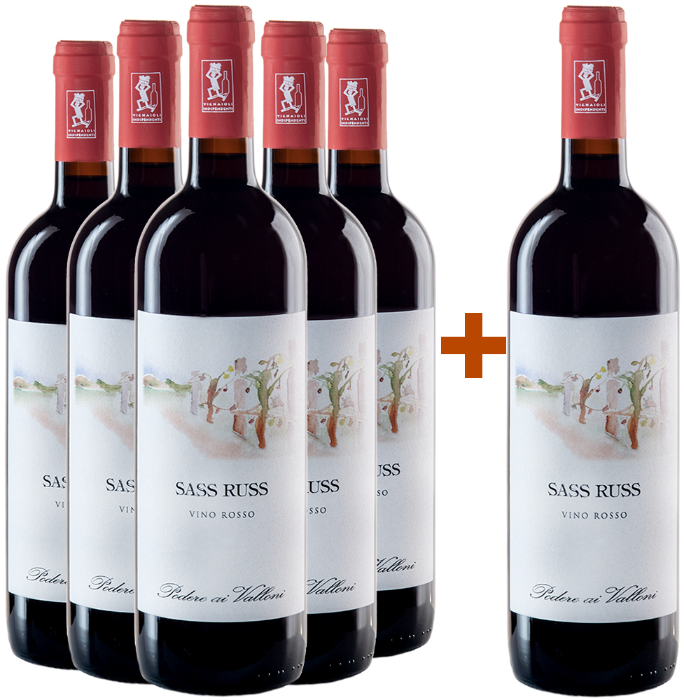 5+1 Paket Vino Rosso Sass Russ BIO