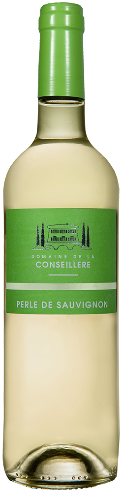 2025 Perle de Sauvignon Pays d’Oc IGP