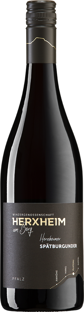 2023 PLATEAU Herxheimer Spätburgunder Rotwein