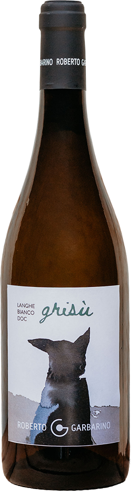 2024 Grisù Langhe DOC