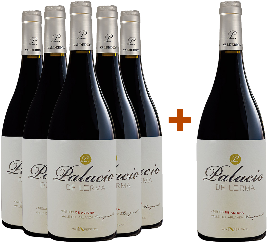 5+1 Paket Palacio de Lerma Roble Arlanza DO