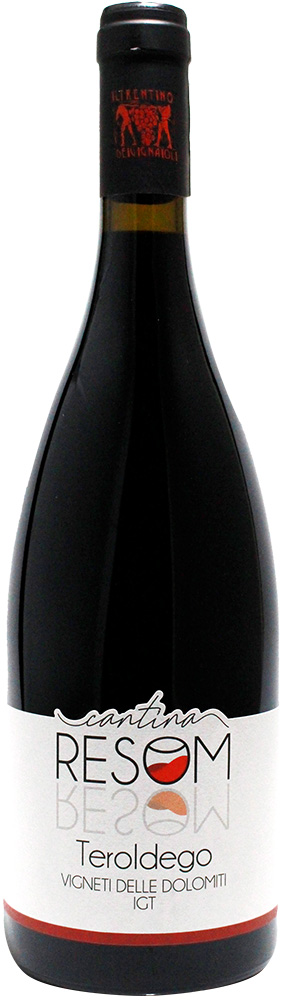 2018 Teroldego Vigneti delle Dolomiti IGP