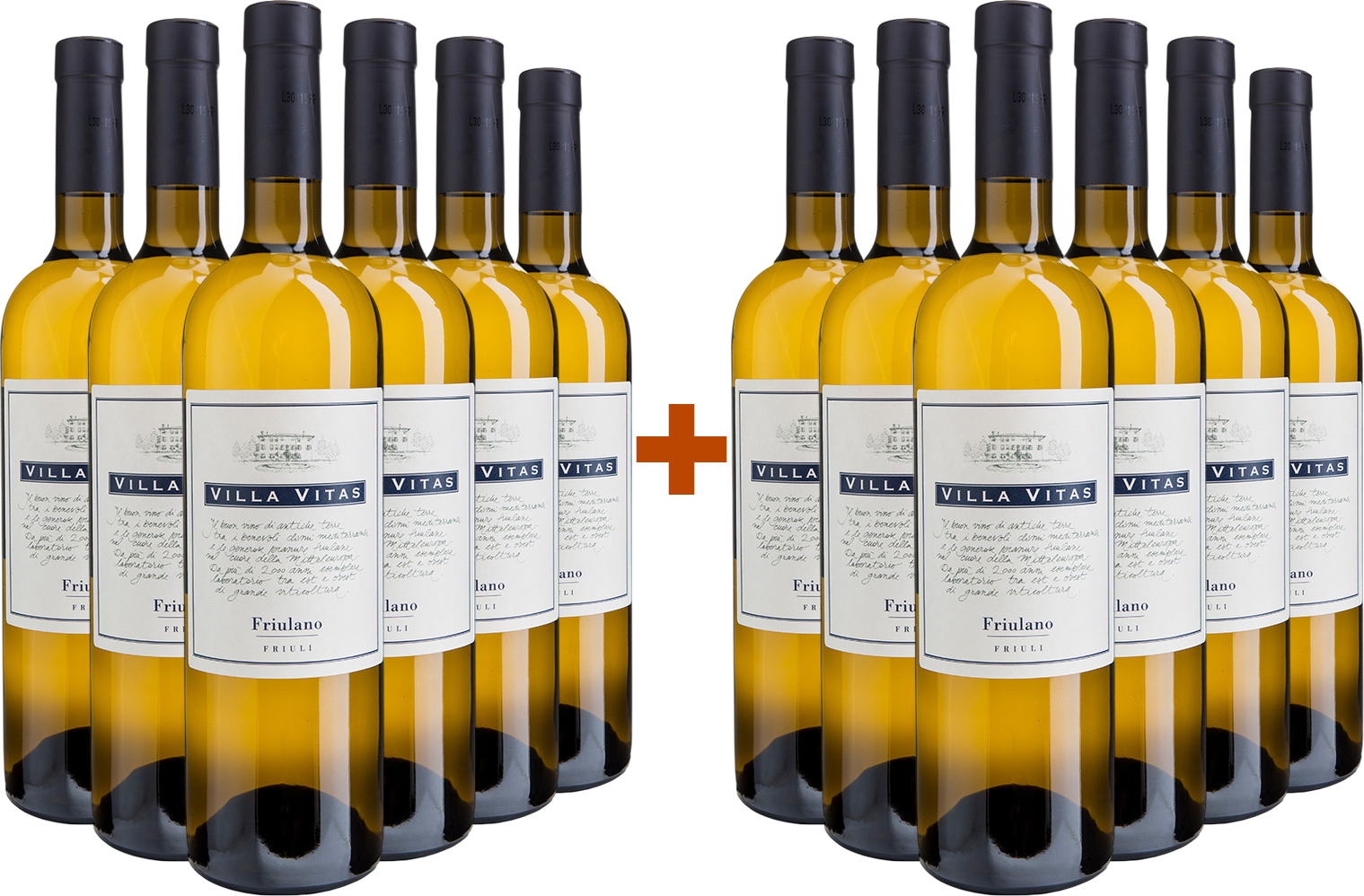 6+6 Friulano Friuli DOC