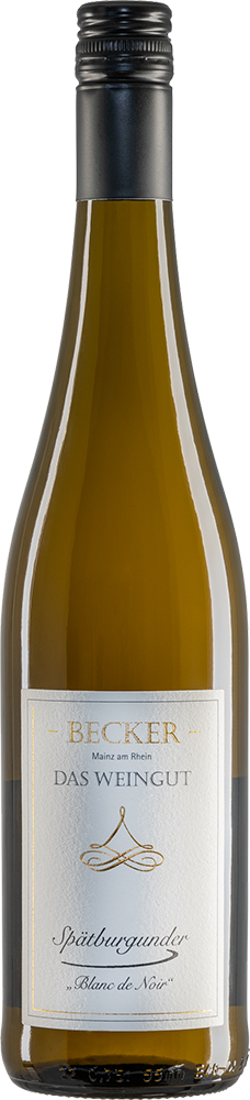 2024 Spätburgunder "Blanc de Noir"