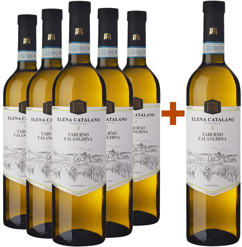 5+1 Paket Falanghina Del Sannio Taburno DOC